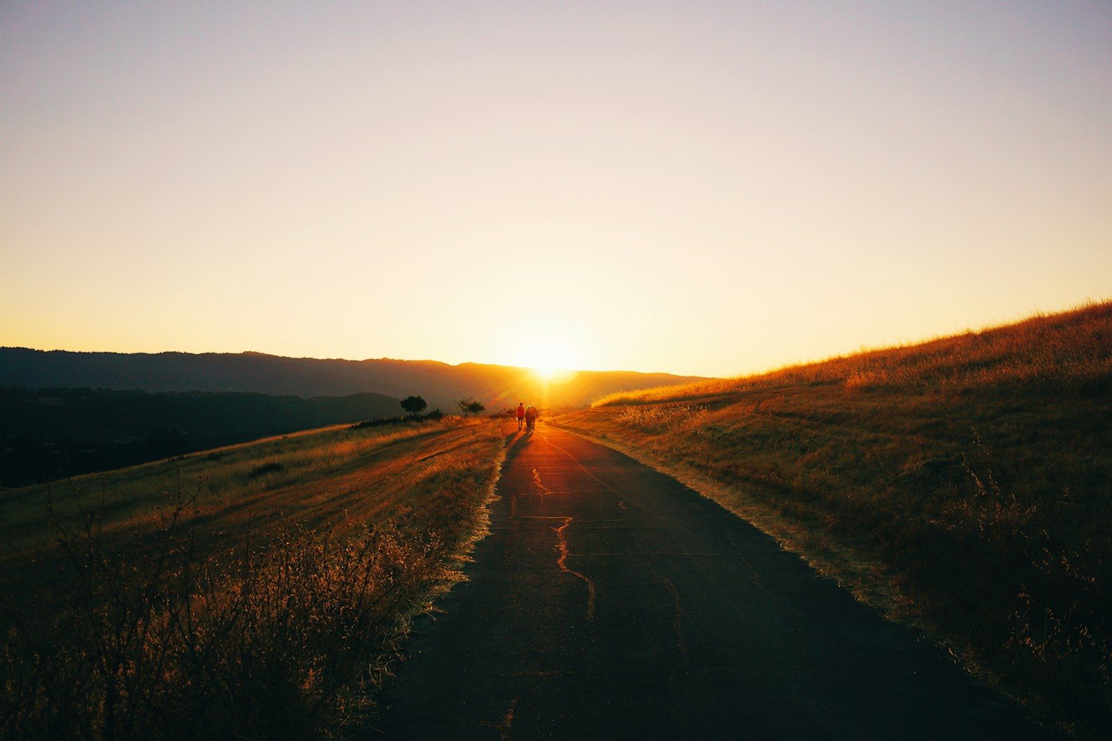 Golden hour trail through rolling California hills near Stanford Dish overlooking Mountain View