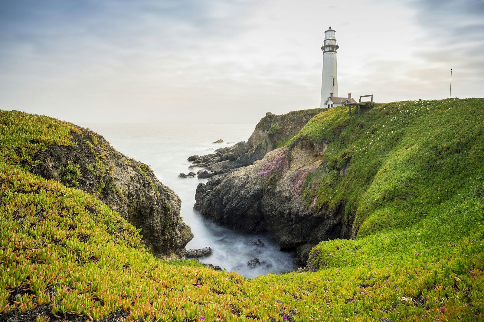 Pigeon Point Lighthouse on green coastal cliffs in San Mateo County with ocean views